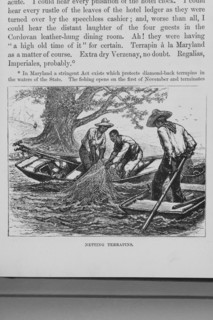 Netting terrapins, 1882. Creator: Unknown.