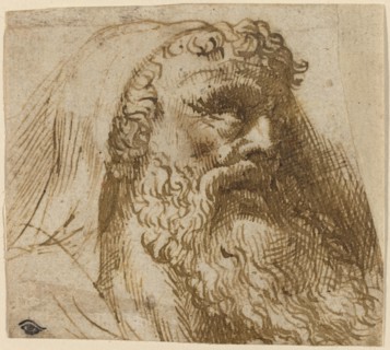 Head of a Man. Creator: Domenico Campagnola.
