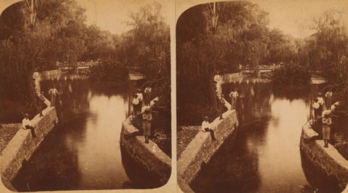 San Antonio River, 1880. Creator: F Hardesty.