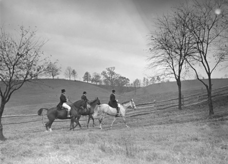 Cutting hunt, 1933 Nov. Creator: Arnold Genthe.