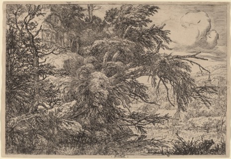 Cottage on a Hill. Creator: Jacob van Ruisdael.