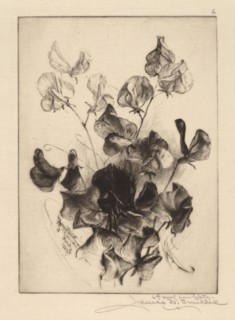 Sweet Peas, 1891. Creator: James David Smillie.