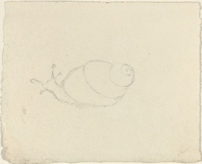 Snails [recto and verso]. Creator: John Flaxman.