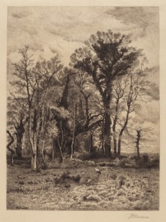 The Edge of the Swamp, 1886. Creator: Peter Moran.