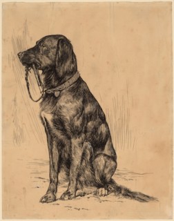 Aldrich's Dog, late 1880s. Creator: Arthur Davies.