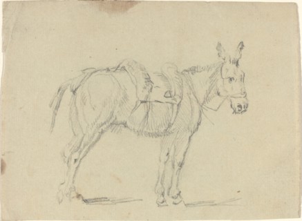 Donkey Stretching a Hind Leg. Creator: John Flaxman.