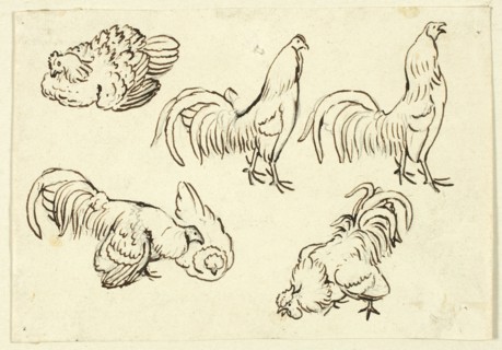 Sketches of Poultry, n.d. Creator: Henry Stacy Marks.