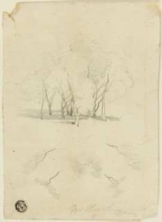 Clump of Trees, n.d. Creator: James Duffield Harding.