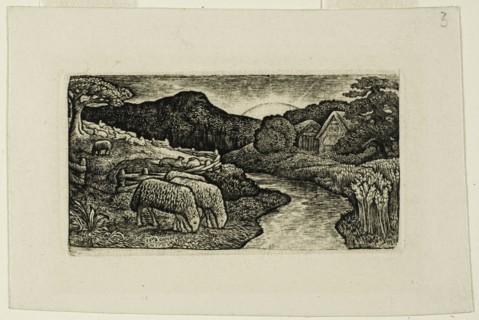 The Sheep of this Pasture, n.d. Creator: Edward Calvert.