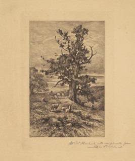 Landscape with Sheep, c. 1876. Creator: Charles Volkmar.