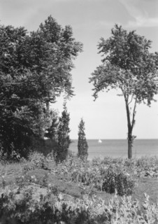 Cosgrave grounds, not before 1917. Creator: Arnold Genthe.