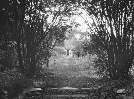 Cosgrave grounds, not before 1917. Creator: Arnold Genthe.