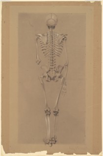 Rear View of a Skeleton, 1848. Creator: Daniel Huntington.
