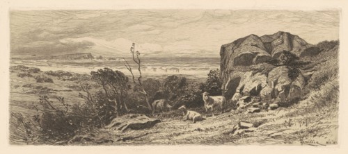 A Bit on Marblehead Neck, 1883. Creator: James David Smillie.