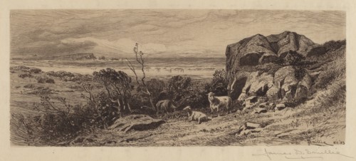 A Bit on Marblehead Neck, 1883. Creator: James David Smillie.