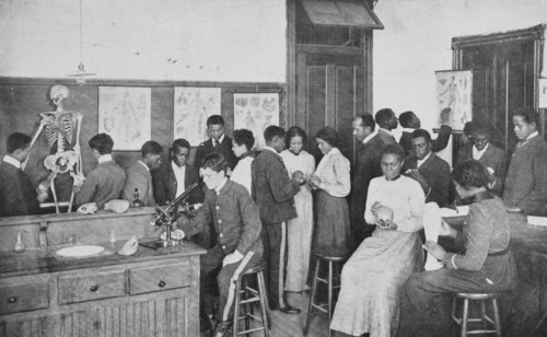 Class in physiology, 1904. Creator: Frances Benjamin Johnston.
