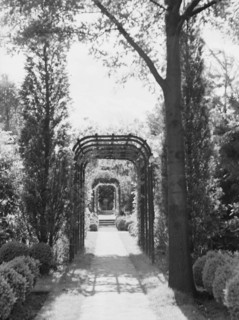 Edge, Charles N., garden, 1933 June 18. Creator: Arnold Genthe.