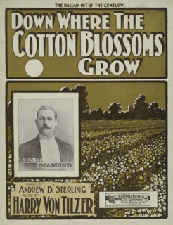 'Down where the cotton blossoms grow', 1901.  Creator: Unknown.