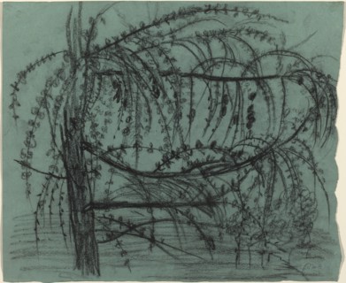 Fruit Tree in Bloom, 1900/1902. Creator: Paula Modersohn-Becker.