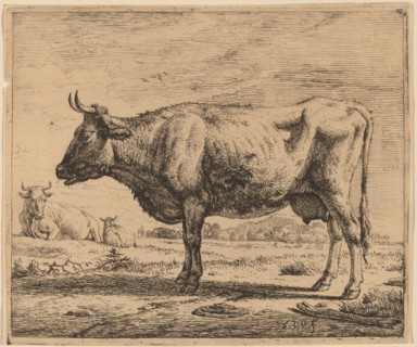 Two Cows and a Sheep, c. 1657/1659. Creator: Adriaen van de Velde.