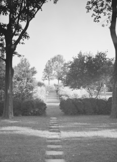 Griffin or Nissen Garden view, 1931 June 14. Creator: Arnold Genthe.