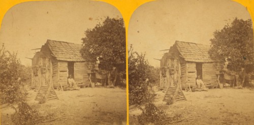 Subject for reconstruction', c1850-c1930. Creator: Adin French Styles.
