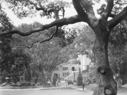 University of California at Berkeley views, 1927 Creator: Arnold Genthe.