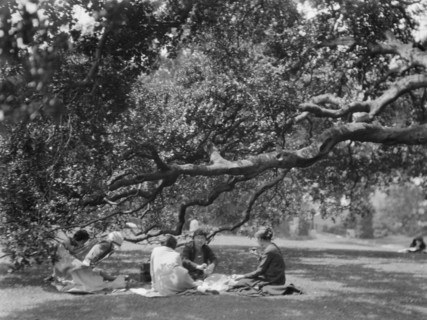 University of California at Berkeley views, 1927 Creator: Arnold Genthe.