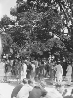 University of California at Berkeley views, 1927 Creator: Arnold Genthe.