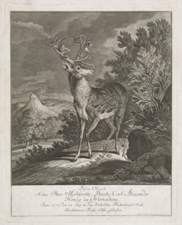 A Magnificent Stag in a Landscape, 1735. Creator: Johann Elias Ridinger.