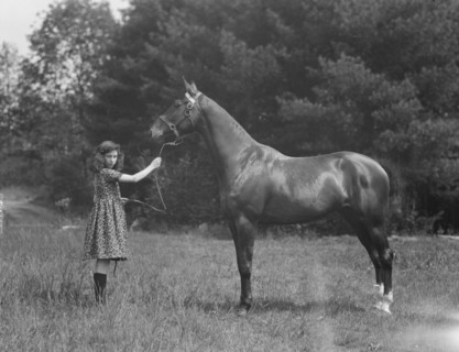 Wertheimer, A., Mr., horse of, 1924 June or July. Creator: Arnold Genthe.