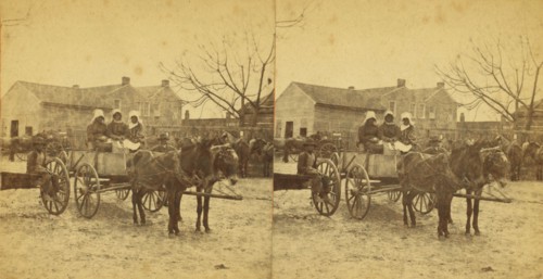 Three graces, [Three women in a mule cart], (1868-1900?). Creator: Unknown.