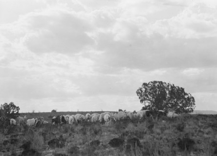 Acoma, New Mexico area views, between 1899 and 1928. Creator: Arnold Genthe.