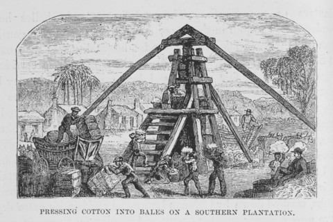 Pressing cotton into bales on a southern plantation, 1882. Creator: Unknown.