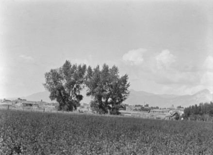 [Taos, New Mexico area views], between 1899 and 1928. Creator: Arnold Genthe.