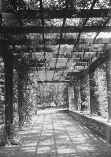 Langeloth estate, Riverside, Connecticut, 1932 June 7. Creator: Arnold Genthe.