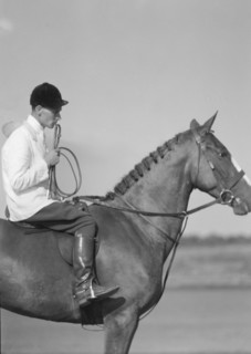 Unidentified person on a horse, between 1911 and 1942. Creator: Arnold Genthe.