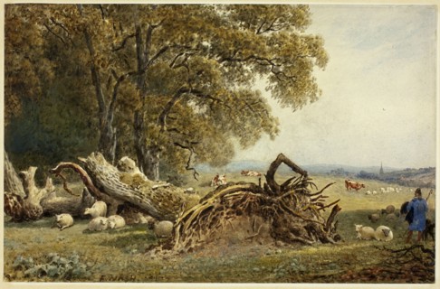 Sheep, Cows, and Herdsman by Uprooted Tree, 1802/1856. Creator: Frederick Nash.
