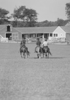 Horse show or show jumping event, between 1911 and 1942. Creator: Arnold Genthe.
