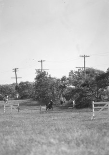 Horse show or show jumping event, between 1911 and 1942. Creator: Arnold Genthe.