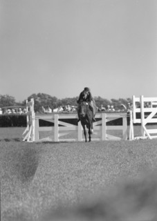 Horse show or show jumping event, between 1911 and 1942. Creator: Arnold Genthe.
