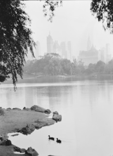 New York City views, Central Park, between 1931 and 1938. Creator: Arnold Genthe.