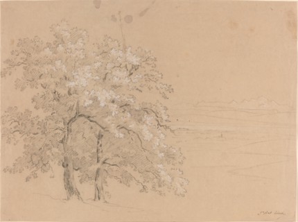Sunlit Trees Before a Panoramic Landscape, 1810s(?). Creator: Jean-Antoine Linck.