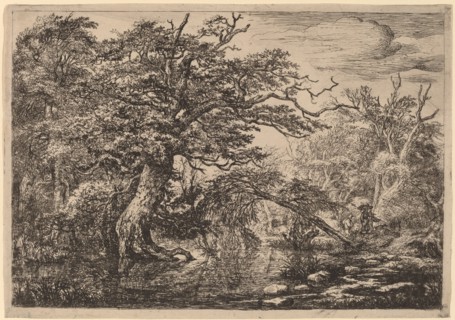 A Forest Marsh with Travelers on a Bank (The Travelers). Creator: Jacob van Ruisdael.