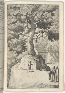 Beech Tree with the Bell (Faggio della campana) [plate X], 1612. Creator: Jacopo Ligozzi.