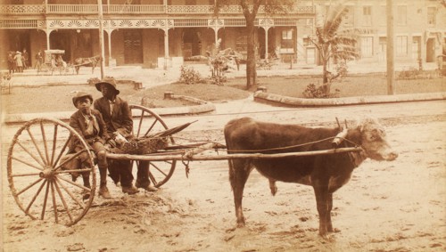 [A boy and a young man sitting on a cow-driven cart in muddy street], c1890-c1899. Creator: Unknown.