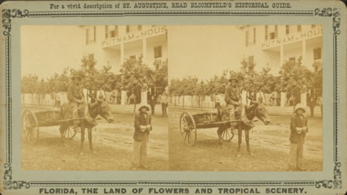 15th Amendment, or the Darkey's millenium: 40 acres of land and a mule, c1850-c1930. Creator: Unknown.
