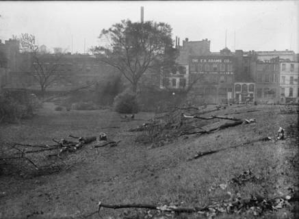 District of Columbia Parks - Cutting Trees On Mall Sites For War Buildings, 1917. Creator: Harris & Ewing.