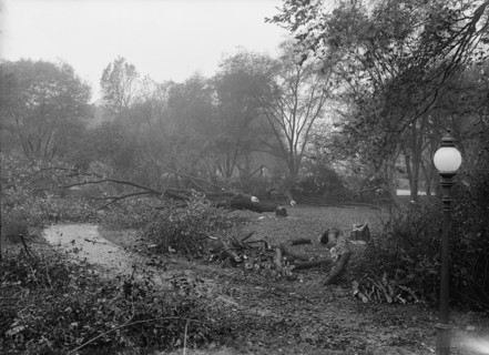 District of Columbia Parks - Cutting Trees On Mall Sites For War Buildings, 1917. Creator: Harris & Ewing.