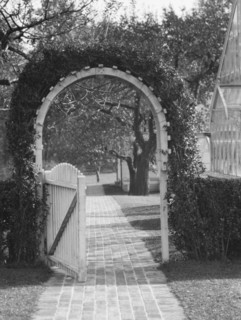 Taylor, Myron C., Mr., residence and grounds, Locust Valley, Long Island, New York, 1928 Nov. Creator: Arnold Genthe.